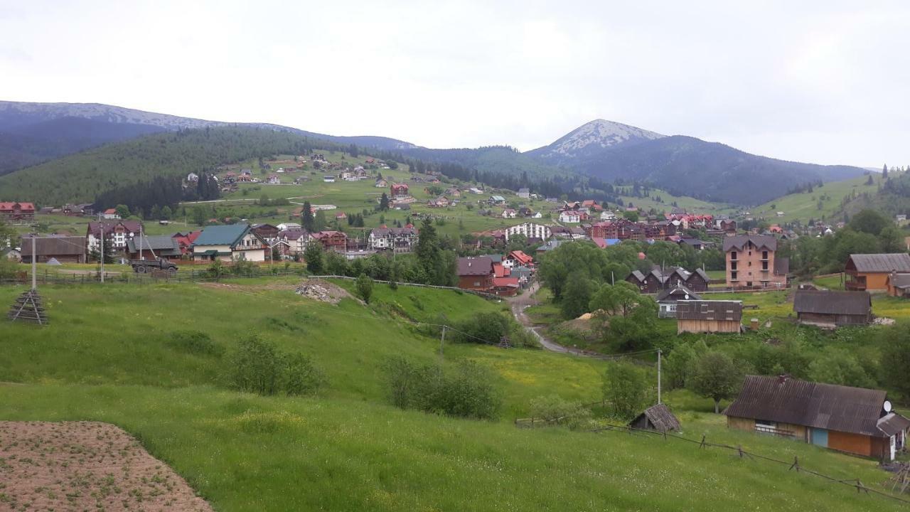 Bee House Поляниця Апартаменти Bukoveľ Exteriér fotografie